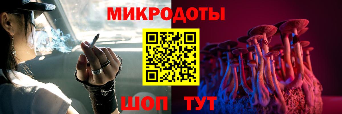 Псилоцибиновые грибы мицелий  хочу   Псилоцибиновые грибы прущие грибы  Нерюнгри  Вход с VPN 